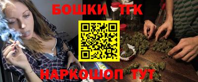 стаф Шебекино